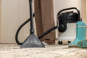 Перяща смукачка Karcher SE 4