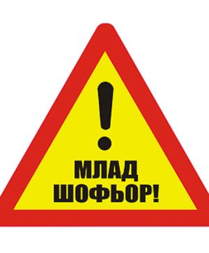 Пиктограми Млад шофьор