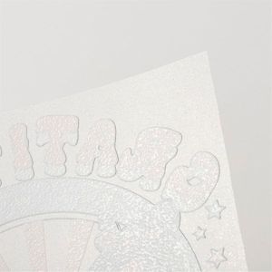 OtterPro Филм DTF, трансферен, 0.3 x 10 m, glitter rainbow