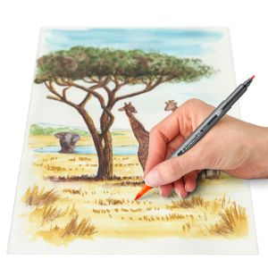 Акварелни  флумастри Staedtler DJ, двувърхи, 6 цвята, AFRICA