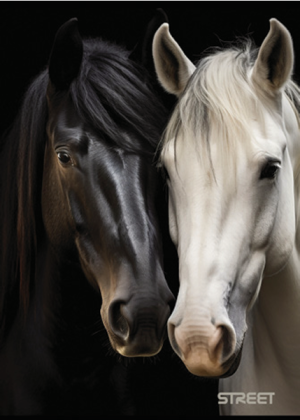 Тетрадка с телчета А4, 60 листа, широки редове, БГ, Horses
