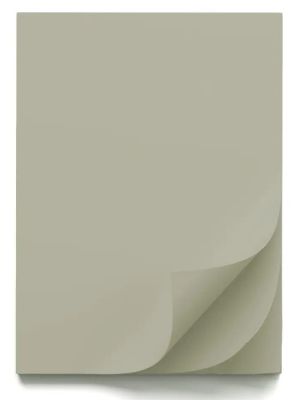Цветен картон B1, 70x100cm, 220g, 10 листа, ТОПЛО СИВ