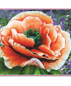 Диамантен гоблен 17х21см, Bright poppy