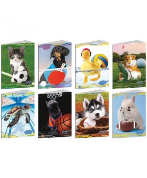 Тетрадка А4 Blasetti Pets/Girl,36+2л, ред