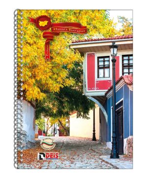 Тетрадка А5 Deis, 100л, редове, спирала, твърди корици,2 теми  09259