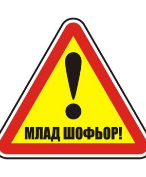 Пиктограма Dinel Млад шофьор