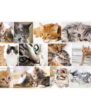 Подложка за бюро 55/35см, Котки