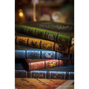 Paperblanks Тефтер Slytherin, Midi, широки редове, твърда корица, 72 листа